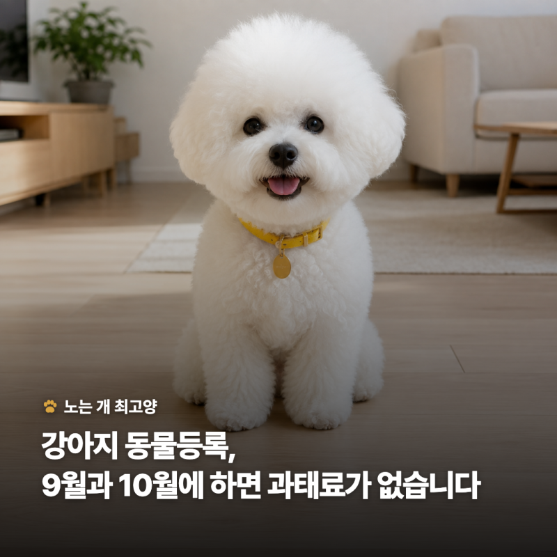강아지 동물등록 방법, 내장칩·외장칩 차이와 비용·과태료
