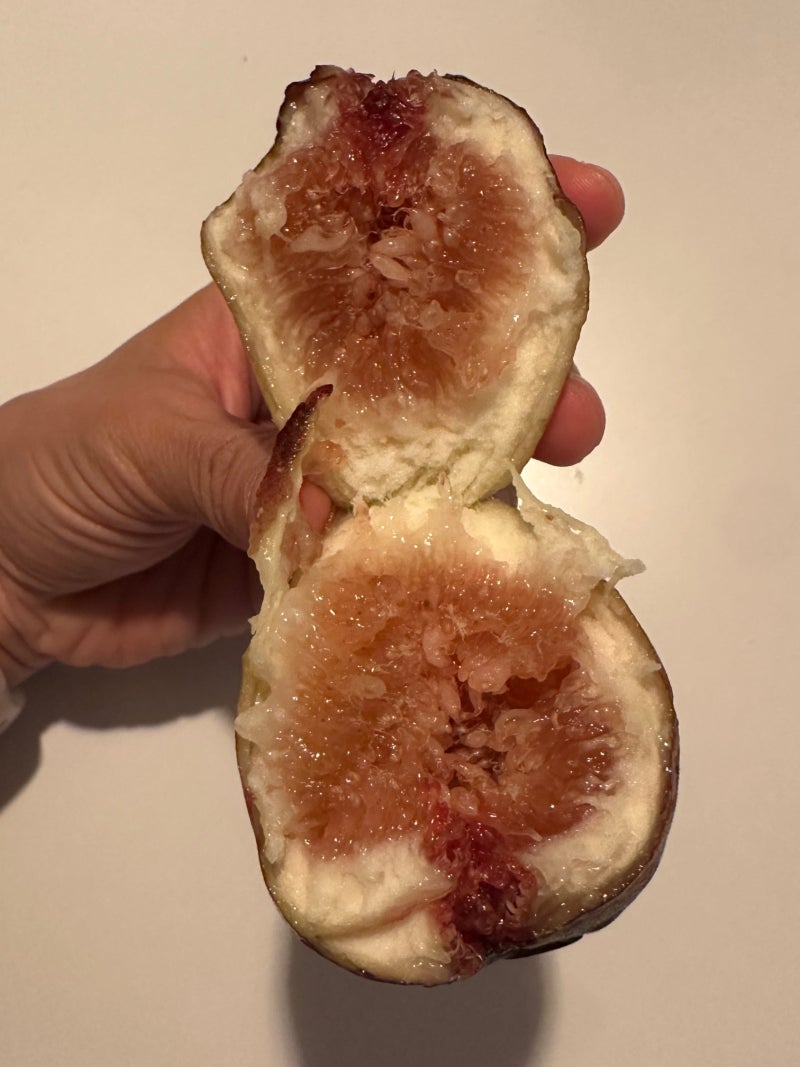 무화과 맛있게 먹는 법, 보관법, 그리고 혀가 떫어지는 이유까지