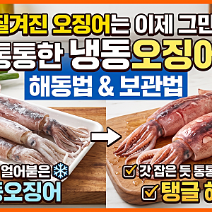 질겨진 오징어는 이제 그만! 갓 잡은 듯 통통한 냉동오징어 해동법과 보관법