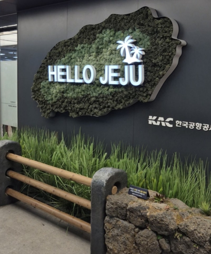 제주도 태교여행, 스노클링까지 하고온 임산부/이건 꼭 알고가세요!(롯데호텔 뷔페 임산부 40....