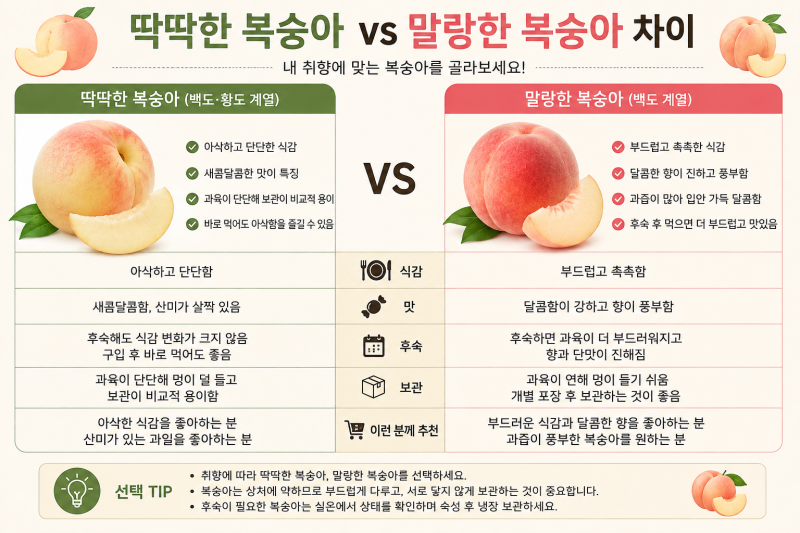 맛있는 복숭아 고르는 법｜딱딱이·말랑이 차이와 후숙·보관법 총정리