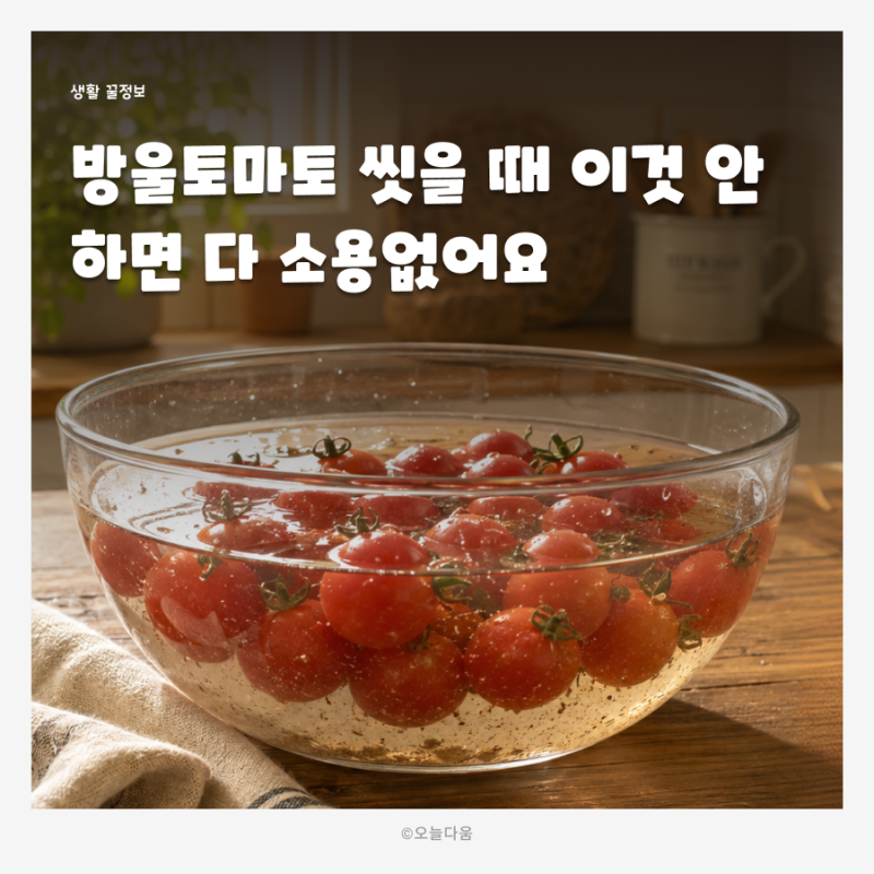 방울토마토 세척 보관법, 씻기 전에 이것부터 확인! 껍질채먹는 과일 야채