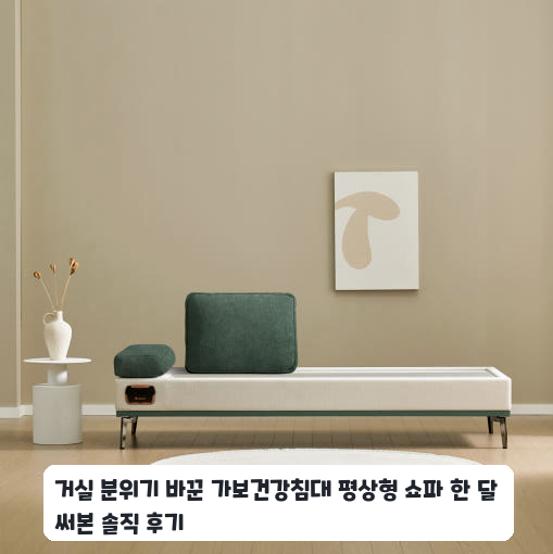 거실에 들인 가보건강침대 평상형 F베라SE 일주일 사용기