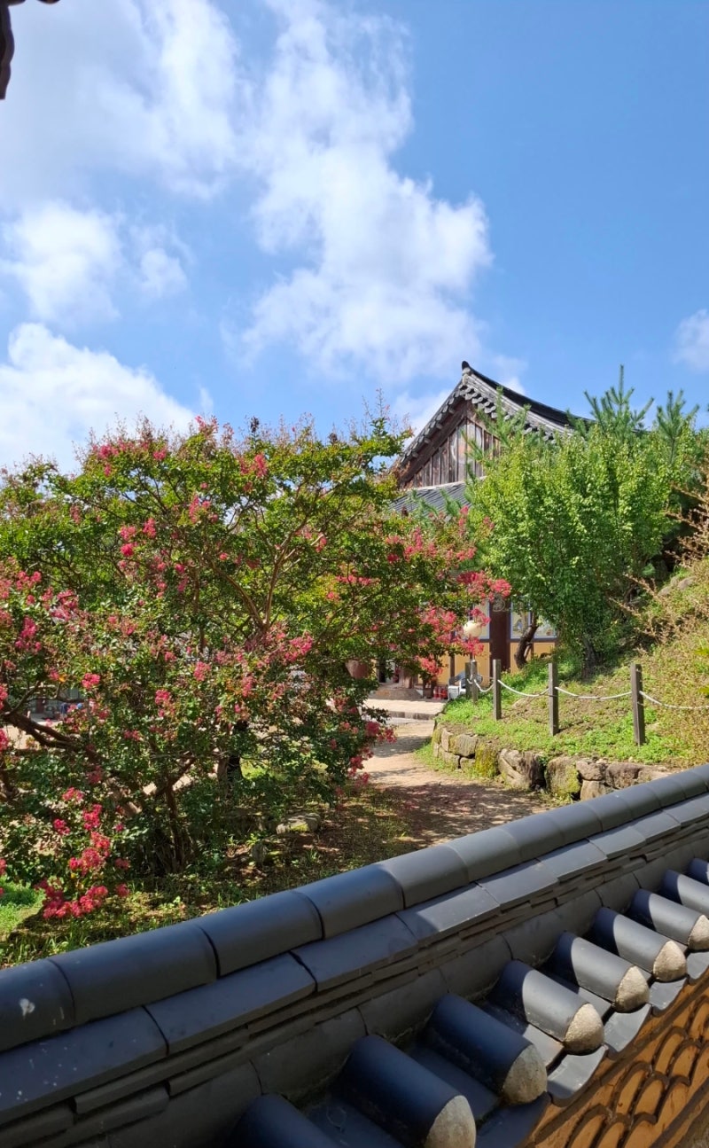 대구 팔공산 동화사 사계절 드라이브 코스 산책 마음이 평온해지는 사찰