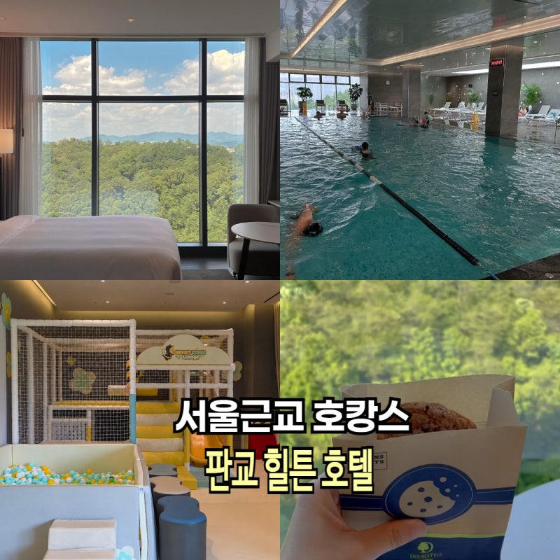 서울근교 호캉스 추천 더블트리 판교 힐튼호텔 수영장 객실 장단점