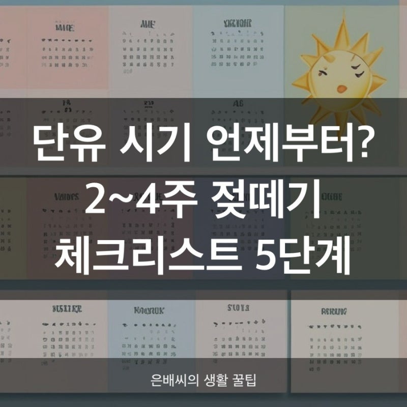단유 언제 시작할까, 4단계 젖떼기 순서와 젖몸살 관리법