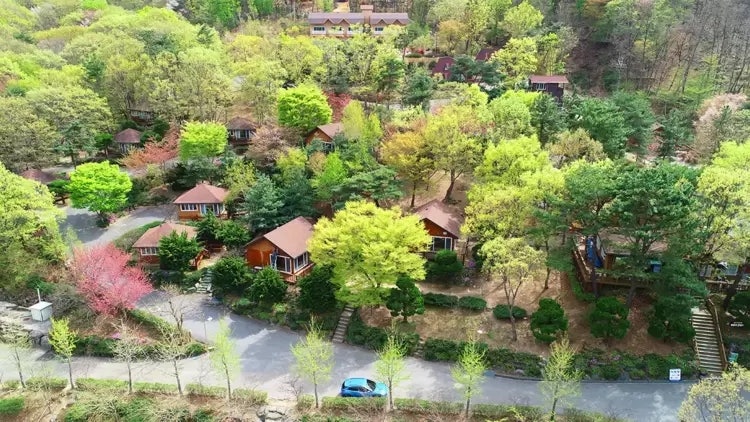 양산 대운산자연휴양림｜계곡 물소리 들으며 쉬어가는 양산 숲속 여행