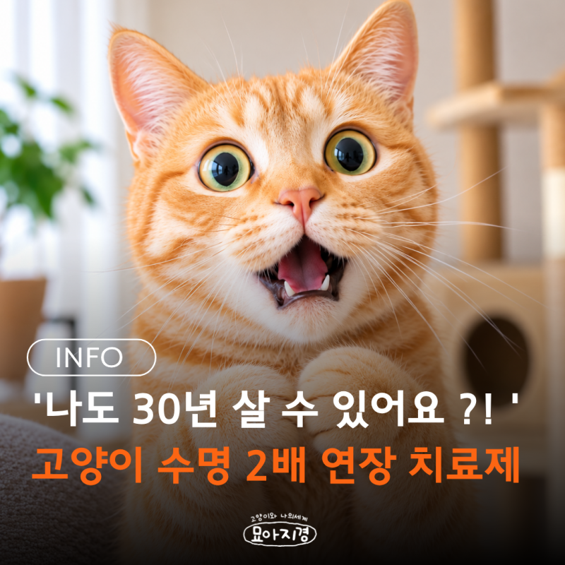 고양이 수명 최대 30살까지 연장될까?