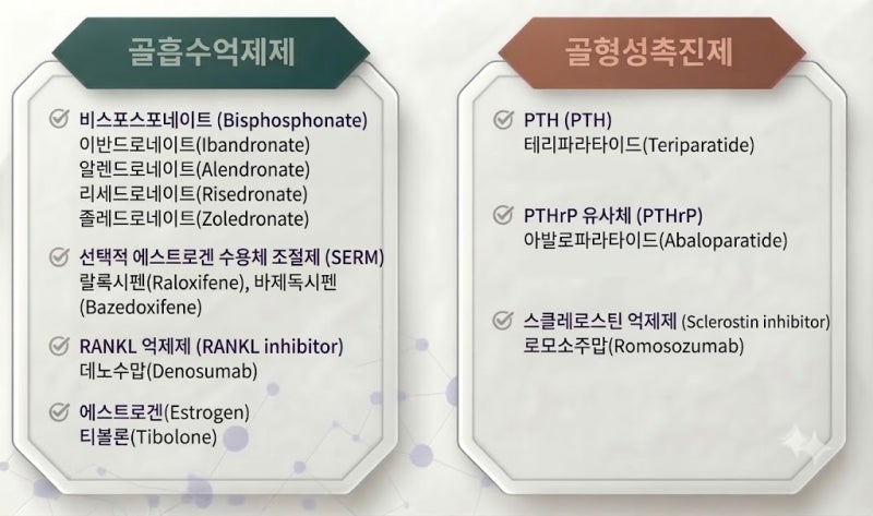 골다공증(Osteoporosis)의 치료 및 종류: 약물치료로 할 것인가? 주사로 할 것인가?