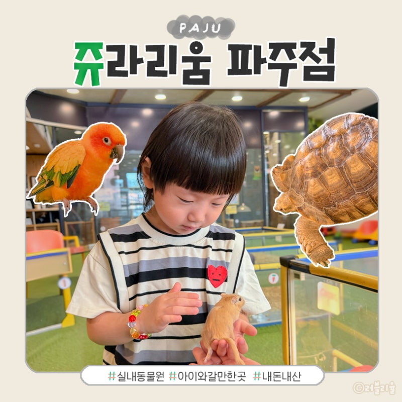 파주 실내동물원 먹이주기부터 키즈카페까지