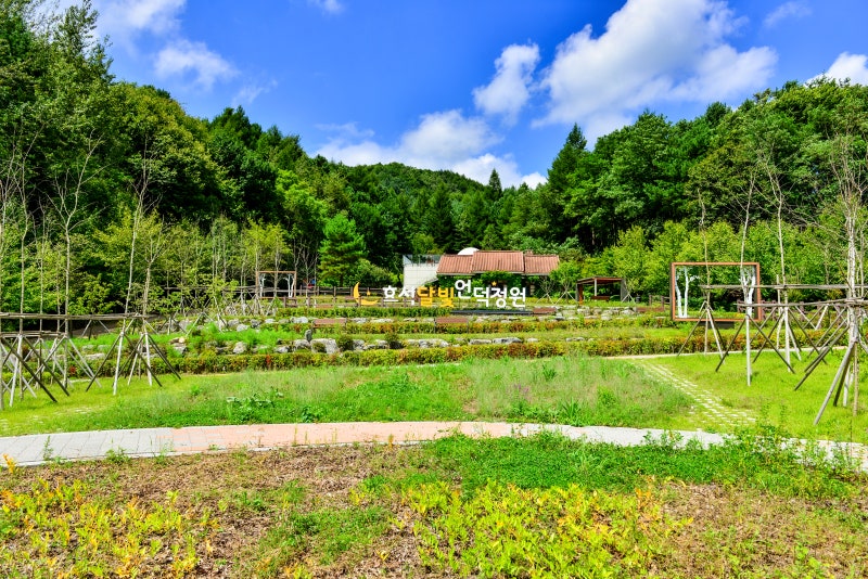 강원도 평창 봉평 효석문화마을 여행 ㅣ 메밀꽃 필 무렵 이효석문학관, 메밀꽃밭, 효석달빛....