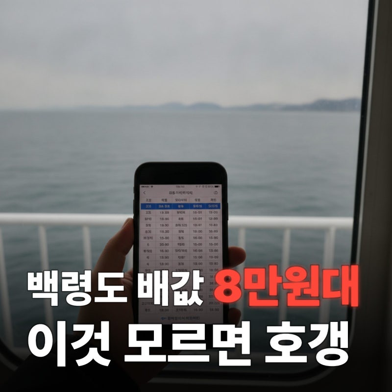 인천시민 아니어도 백령도 배값 예약 예매 70% 할인 꿀팁