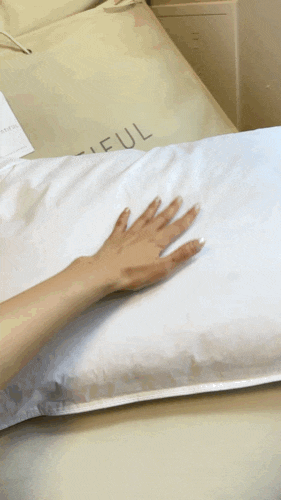 바운티풀 구스베개 900g 사용기 | 호텔베개 부럽지 않은 폭신함과 복원력!