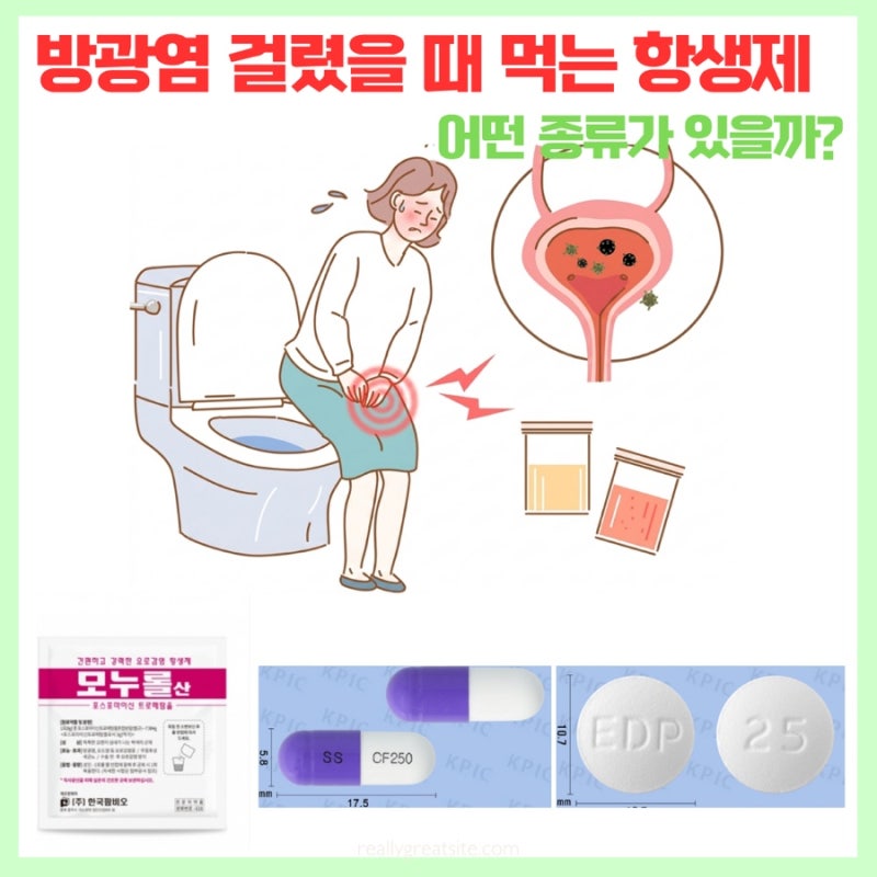 방광염 걸렸을 때 먹는 항생제, 어떤 종류가 있을까?