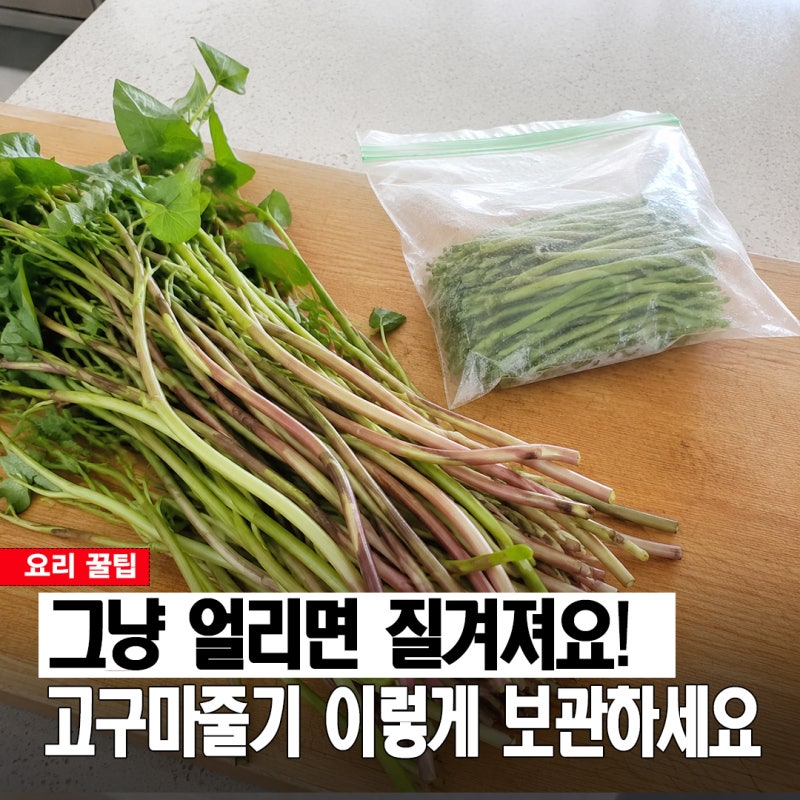 생으로 얼리기 vs 데쳐서 얼리기, 질기지 않게 오래 먹는 고구마줄기 보관법