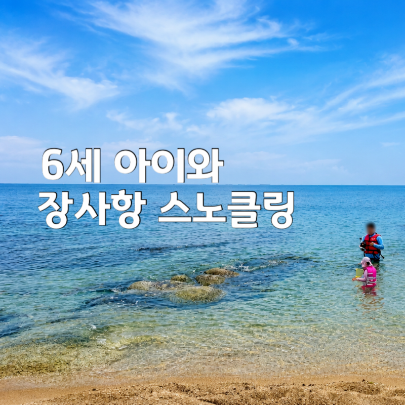 속초 장사항 스노쿨링 준비물, 6세 아이와 직접 다녀온 후기 | 주차·물깊이·취사·샤워실 총....