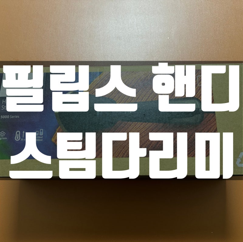필립스 핸디형 스팀다리미 직접 써보고 쓴 후기ㅣ가벼운 다라미 추천