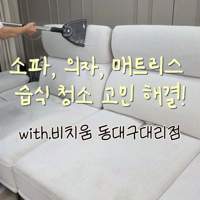 대구 패브릭소파 습식청소 가능한 비치움 동대구대리점 :: 이렇게 비포애프터 확실하다니..!!