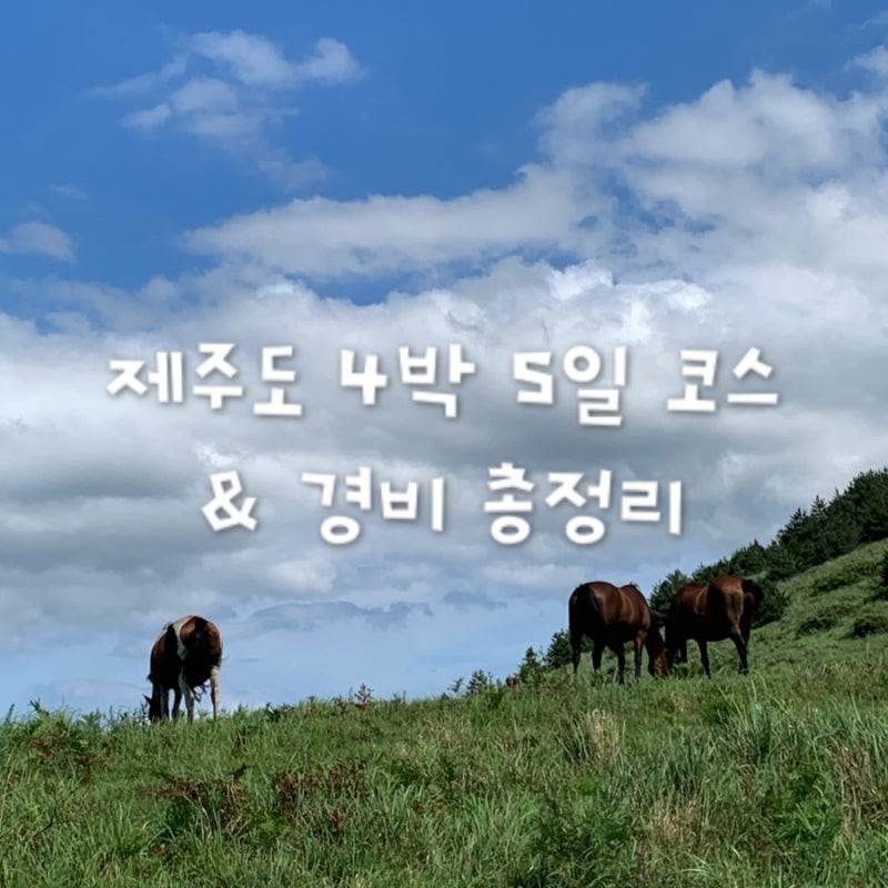 [제주] 제주도 4박 5일 여행코스 & 2인 총경비 완결판️ (동쪽 힐링 동선, 숙소 3곳, 식비 내돈....