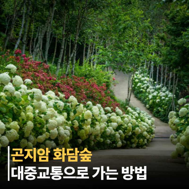 뚜벅이도 운전 없이 간다? 곤지암 화담숲 대중교통으로 가는 방법 환승공식 4가지