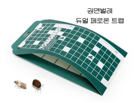 집에 작은 갈색 벌레가? 권연벌레 페로몬 트랩 설치 후기