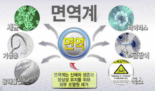 헬리코박터균 약 부작용 증상 이것만 알면 걱정 끝