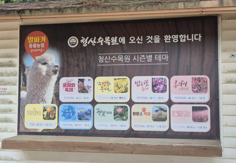 가족&연인과 함께 가기 너무 좋은 '태안 청산 수목원' 방문 후기