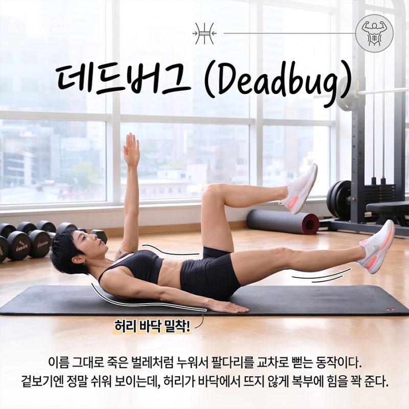 허리디스크 코어운동 종류,효과