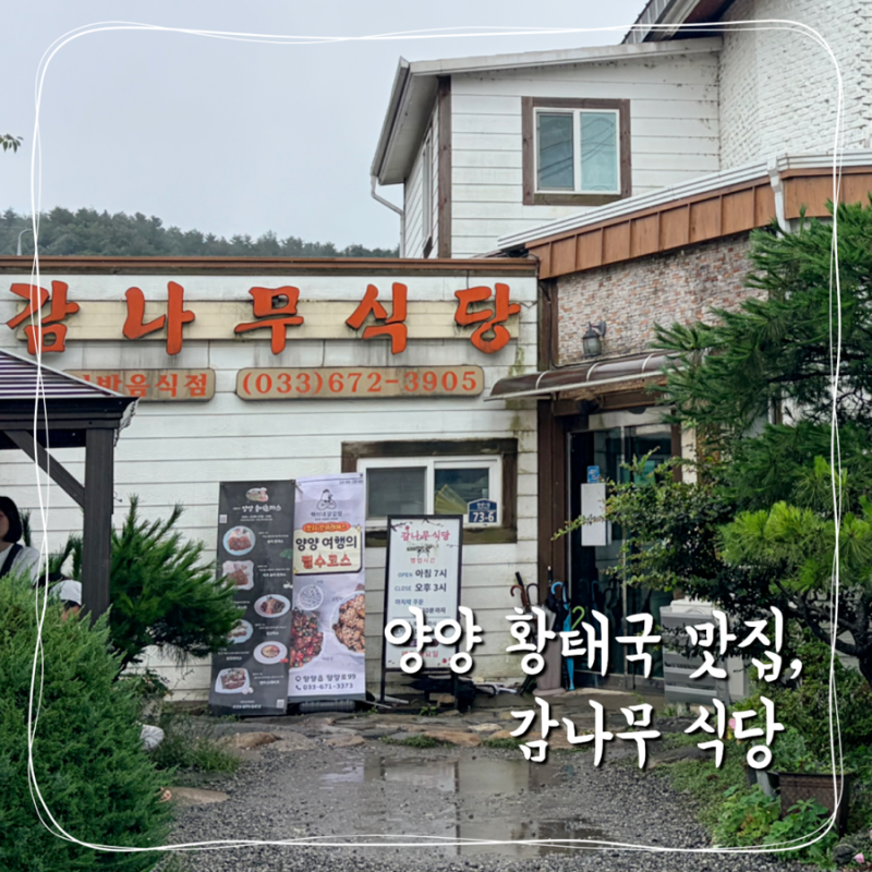 양양 황태국 맛집 감나무식당｜비 오는 날 웨이팅
