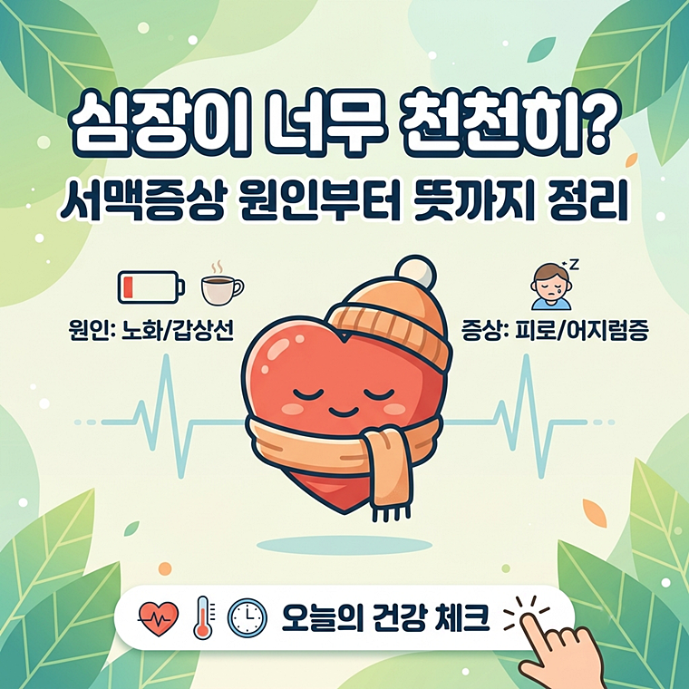 서맥 증상 원인부터 서맥뜻까지 정리