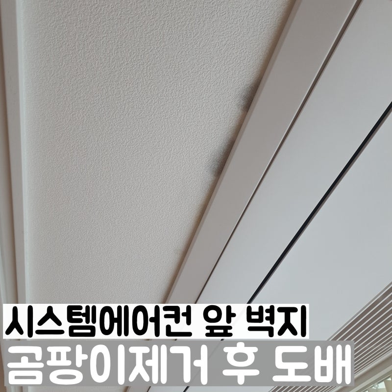 시스템에어컨 앞 벽지 천장 곰팡이 제거 도배
