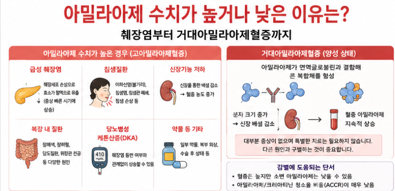 아밀라아제 수치가 높거나 낮은 이유는? 췌장염부터 거대아밀라아제혈증까지