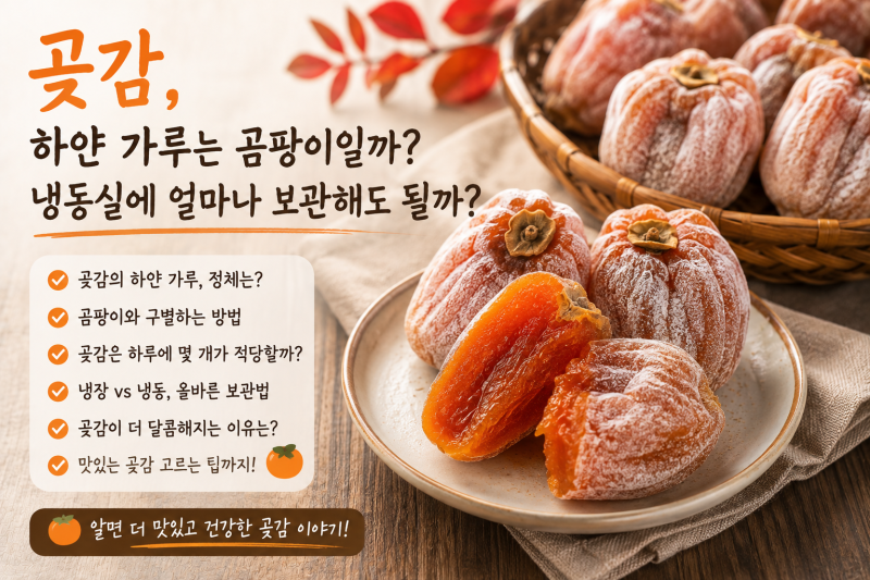 곶감, 하얀 가루는 곰팡이일까? 냉동실에 얼마나 보관해도 될까?