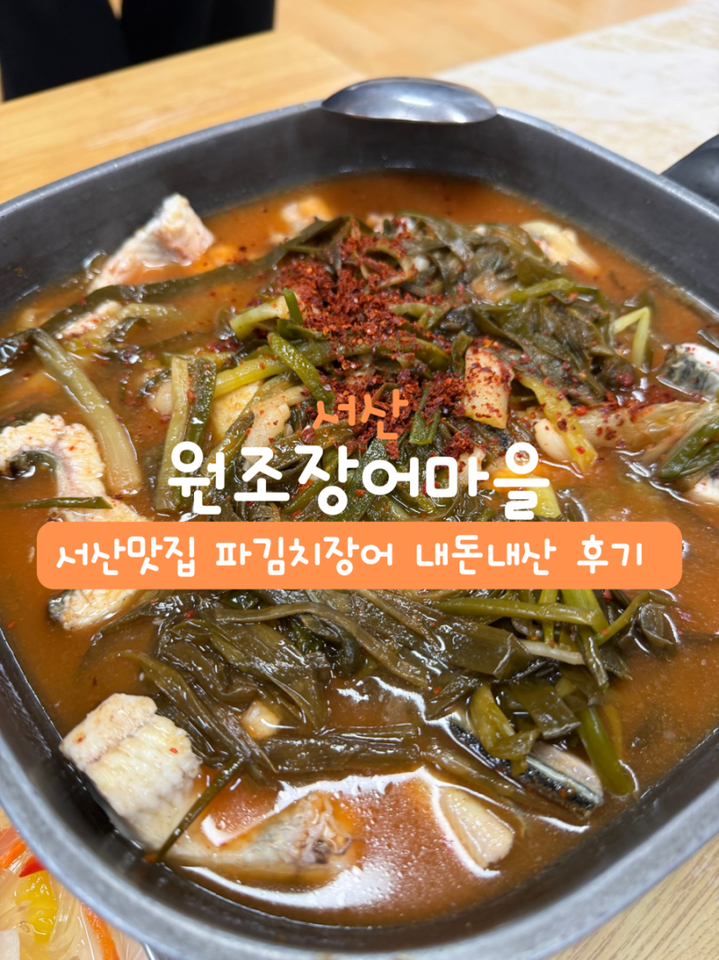 [서산맛집] 파김치에 장어 조합이 이렇게 맛있다고? 서산 파김치장어 ‘원조장어마을’ 몸보....