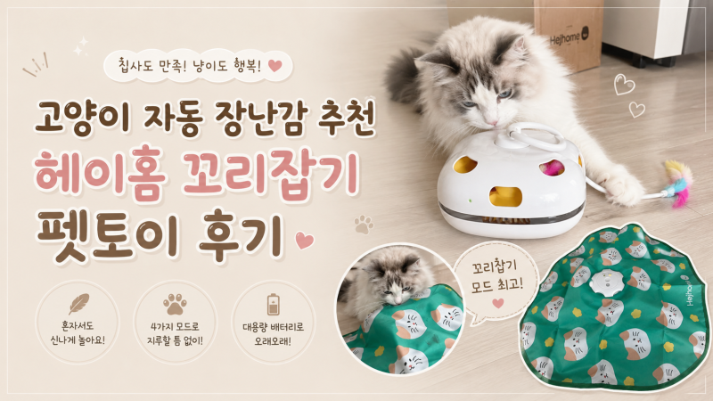 고양이 자동 장난감 추천: 헤이홈 혼자 놀기 좋은 고양이 장난감 솔직 후기