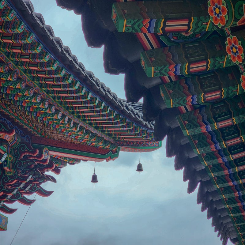 #3 7월의 보령과 8월의 봉선사