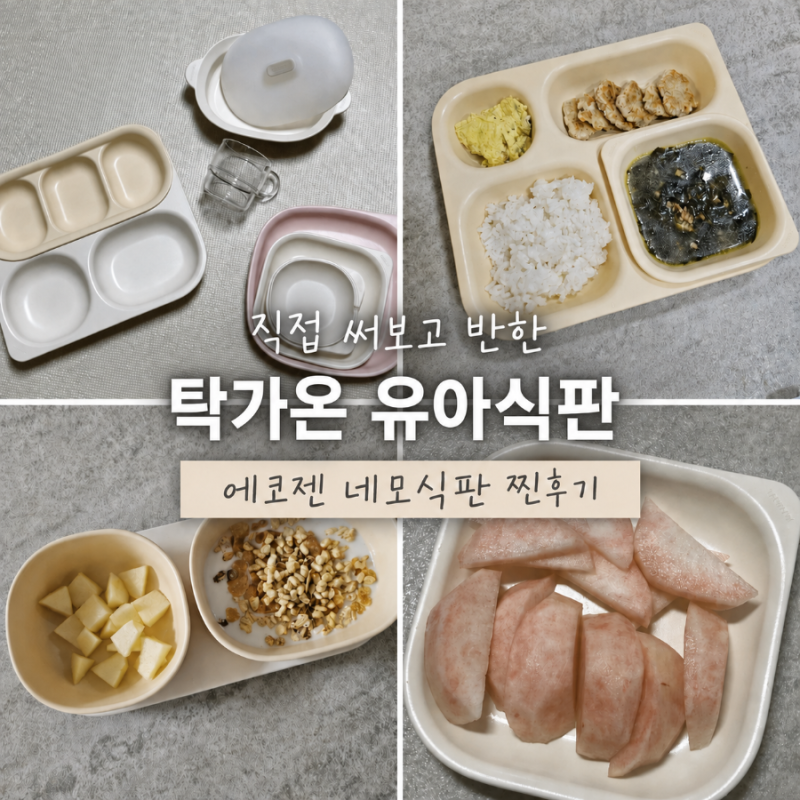 탁가온 에코젠 유아식판 추천｜네모식판 조합·전자레인지 내돈내산 사용후기 | 식기세척기....