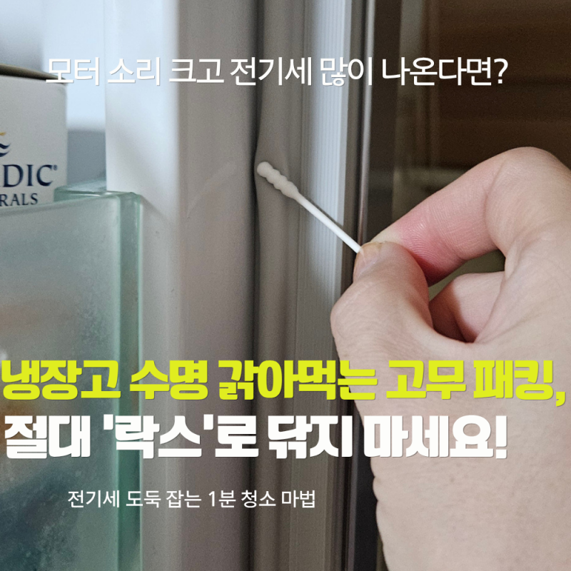 "전기세 줄줄 새고 있었네!" 냉장고 수명 갉아먹는 고무 패킹 곰팡이, '이것'으로 1분 만에 닦....