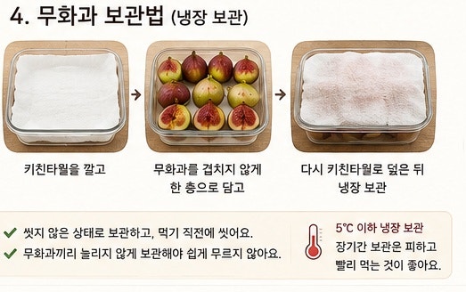 제철 무화과 맛있는 무화과 고르는 법부터 보관·요리까지