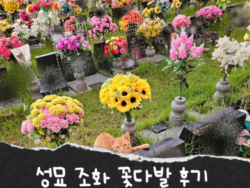성묘 조화 꽃다발 내돈내산 실물후기, 매번 생화 대신 어떤 꽃을 골라야 할까?