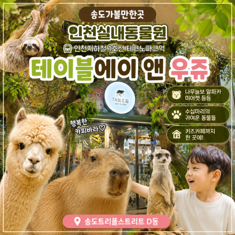인천송도가볼만한곳 초2아들과 인천이색데이트 카피바라있는 실내동물원 테이블에이앤우쥬