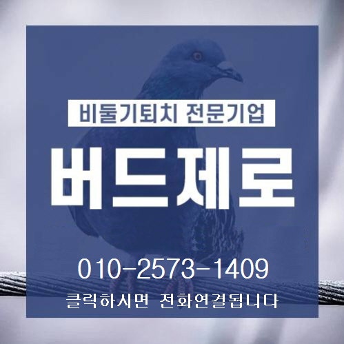 김해비둘기퇴치! 진영 센텀큐브 아파트 실외기 비둘기똥청소, 비둘기퇴치망 설치, 비둘기 재....