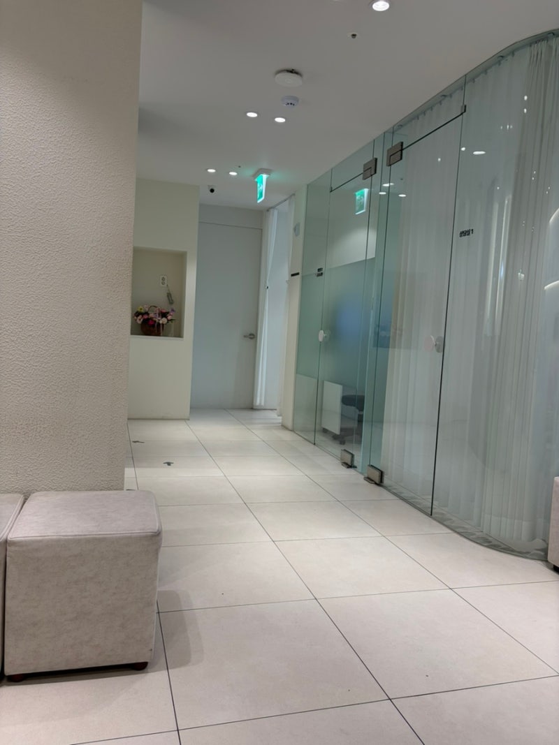 Y존 제모/브라질리언 젠틀맥스 레이저제모 1회차 후기 (제모과정, 고통, 관리방법)