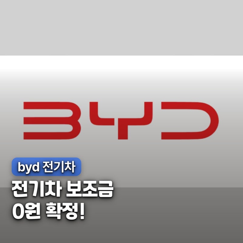 "BYD 전기차 보조금 0원?" 구매 전 꼭 알아야 할 대응책