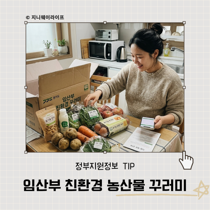 임산부 친환경 농산물 꾸러미 경기도 에코이몰 신청방법 대상 주문방법 후기