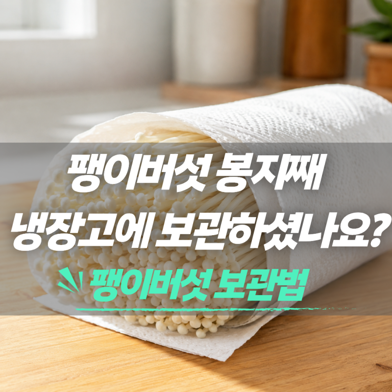 팽이버섯 봉지째 냉장고에 넣었다면? 금방 상하는 이유 바로 .. 이렇게 보관하세요