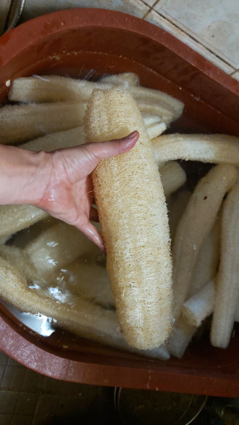 수입 천연수세미 2,000개 도착 (첫 통관 보완요구 경험)