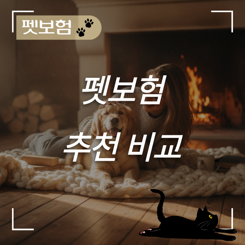 펫보험 추천 비교 리스트, 월 3만원대 실제 병원비 출혈 막아낸 집사의 솔직 분석