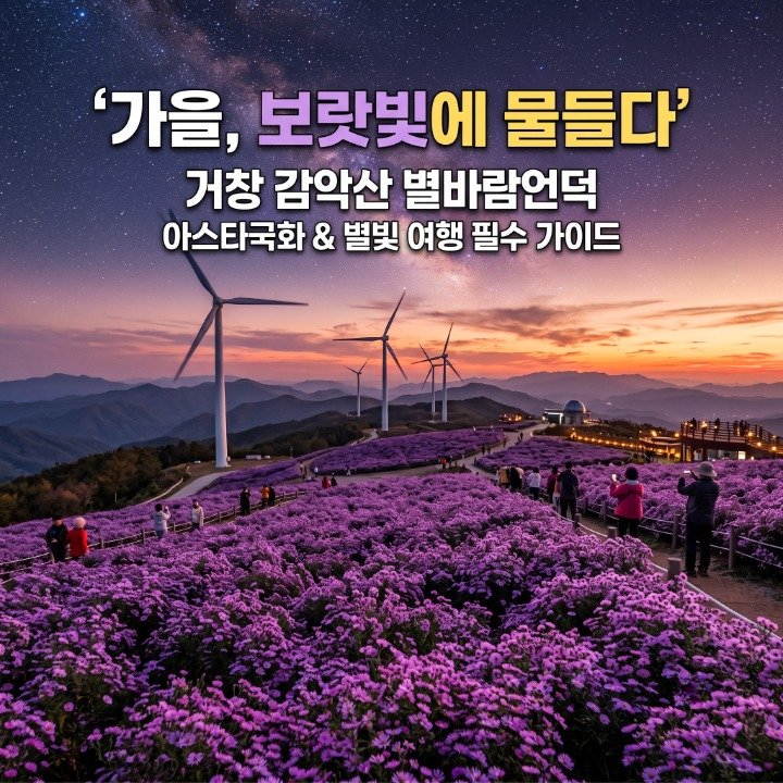 거창 감악산 별바람언덕 인생샷 가이드: 보랏빛 아스타국화와 은하수 명당 주차 꿀팁
