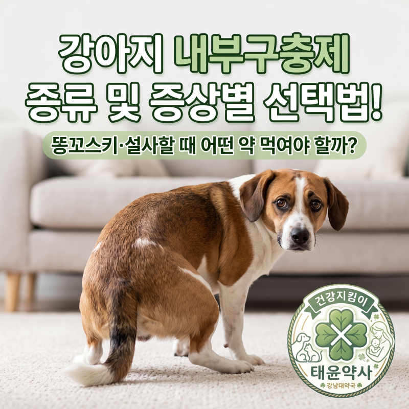 강아지 내부구충제 종류 및 증상별 선택법! 똥꼬스키·설사할 때 어떤 약 먹여야 할까?